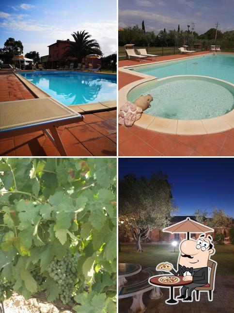 Azienda Agricola Brancatelli Srl