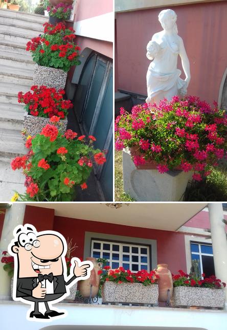 Vedi la foto di Ristorante Green Hill