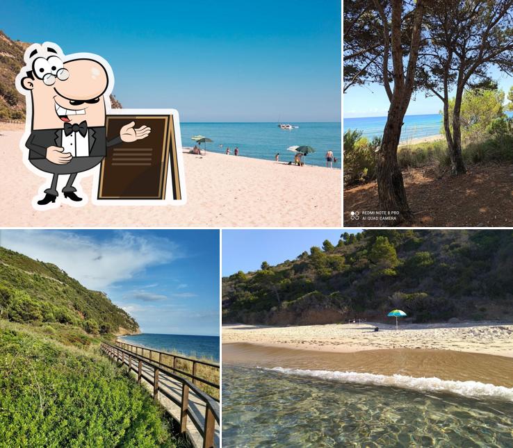 Curiosa tra la parte esterna di La Baia del Sole