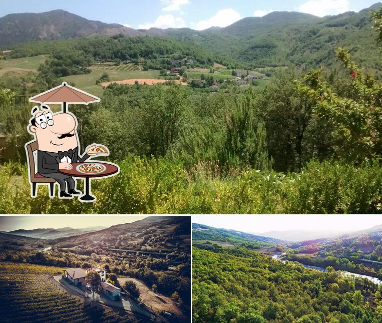 Curiosa tra l'area esterna di Agriturismo Ca del Sartù