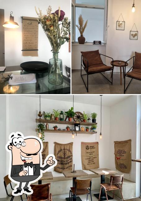 Découvrez l'intérieur de George