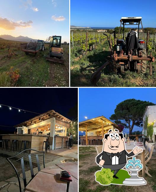 Domaine Camellu