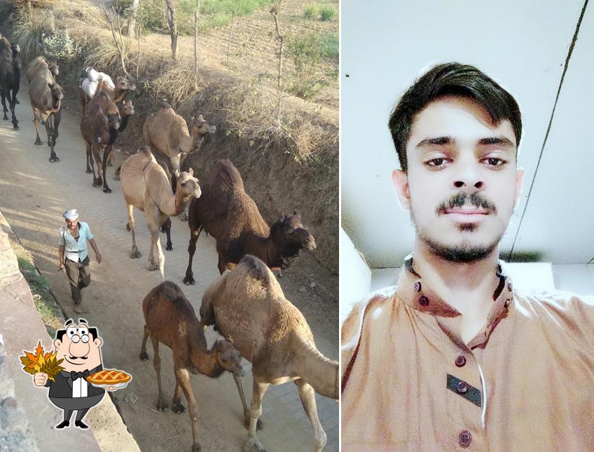 Utsav Bar & Restaurant image