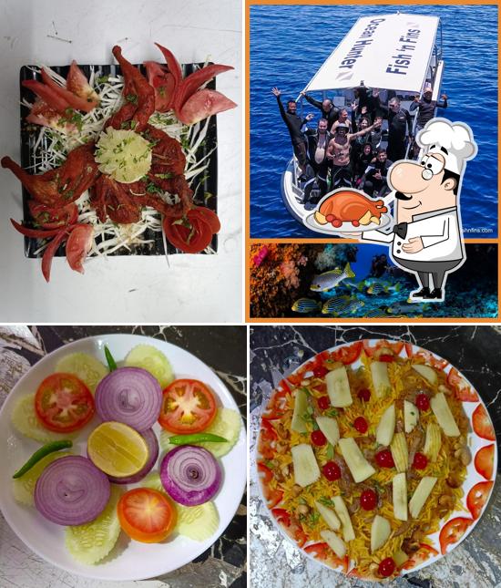 Fish n Fins