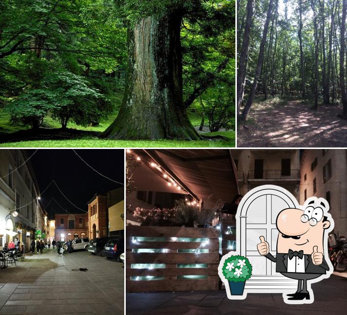 Gli esterni di Green Corner