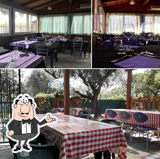 Dai un'occhiata agli interni di bar trattoria cannavota