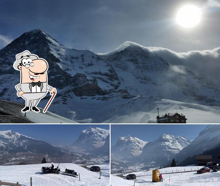 Puoi goderti l'aria fresca dal dehors di Holzerbar