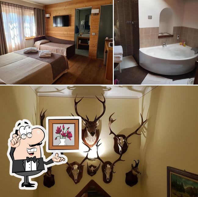 Découvrez l'intérieur de Hotel Ristorante Edelweiss