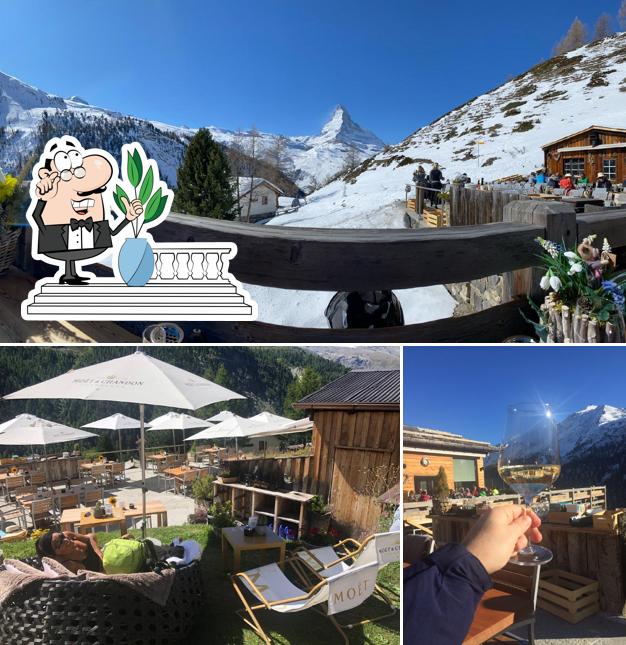 Gli esterni di Adler Hitta