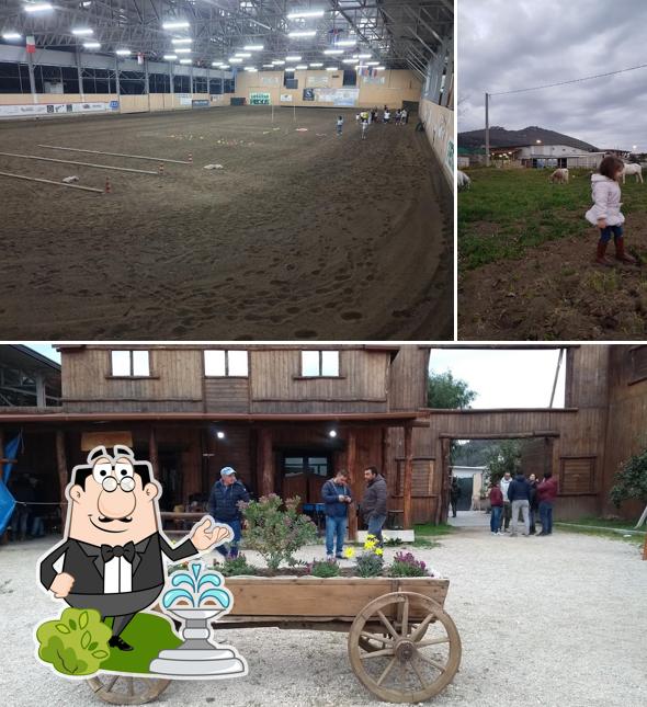 Goditi la vista dall'area esterna di Maneggio Il Vecchio West