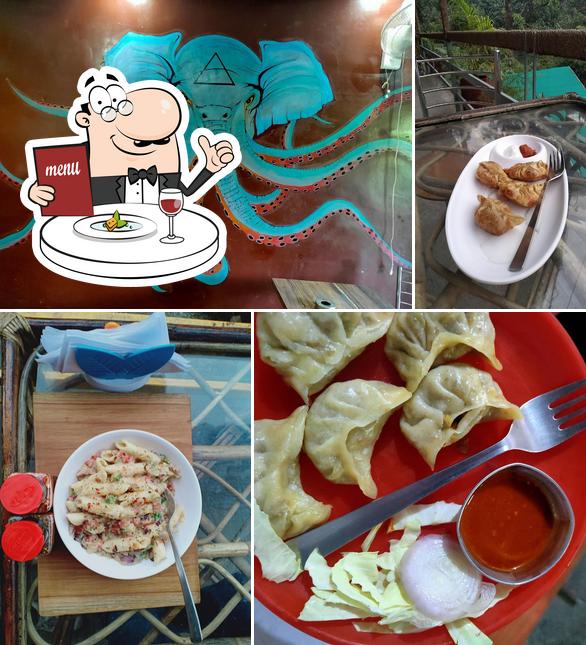 The Cactus Garden Cafe