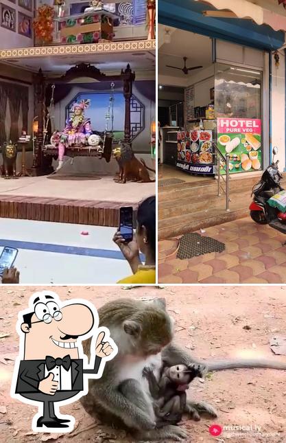 See the photo of Gayathri Bhavan