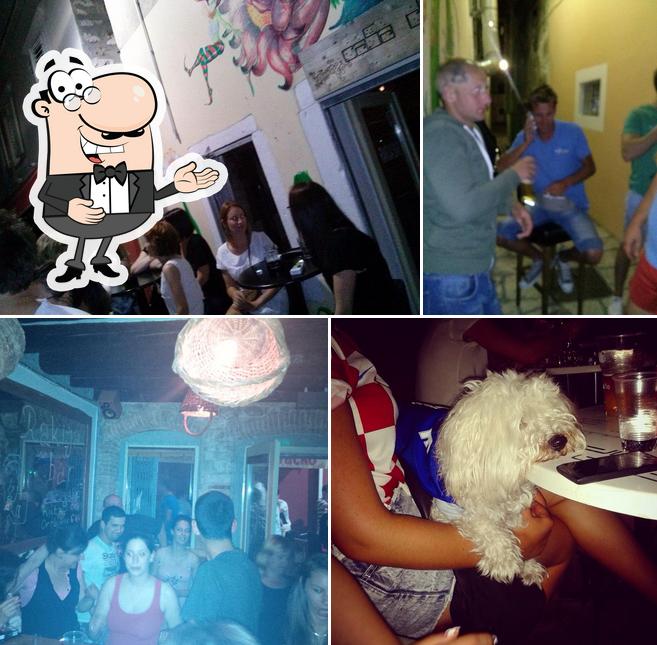 Foto di Rakija Bar (Casa di grappa) Zadar
