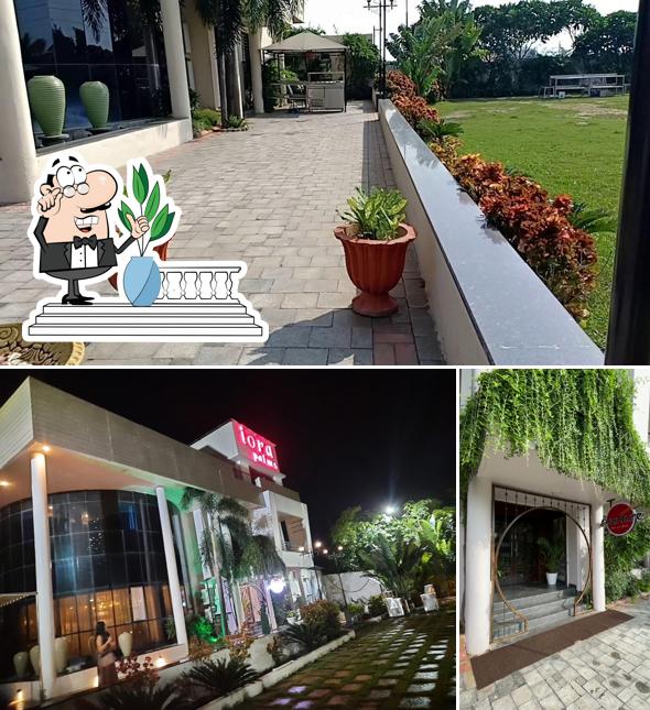 Check out how Iora Palms looks outside