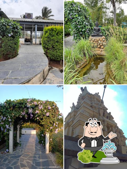 White Woods @ Ground Zero Hub