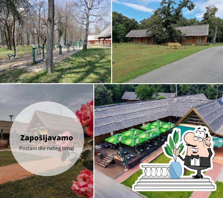 Goditi la vista dall'area esterna di Vukovarska kuća - Park adica Vukovar