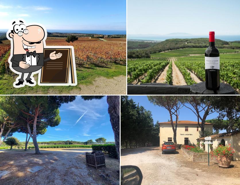 Guarda gli esterni di Enoteca Tenuta Argentiera