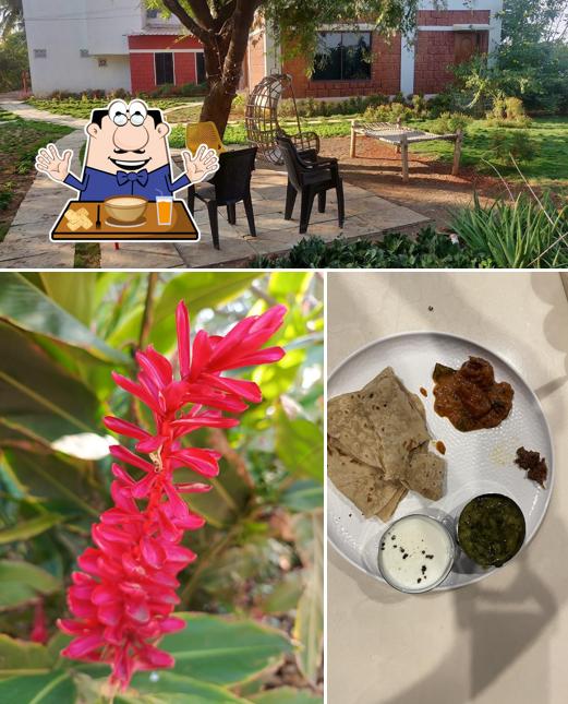 The restaurant's food and interior