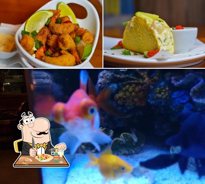 Comida em Restaurante Mogi Mirim Tequilaria São Paulo Grill