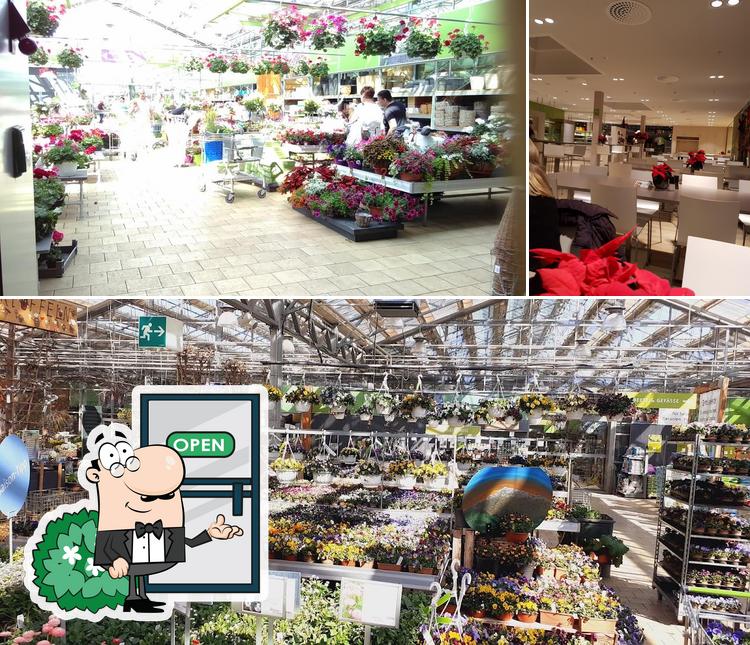 Questa è la immagine che mostra la esterno e interni di Garten-Center Meier