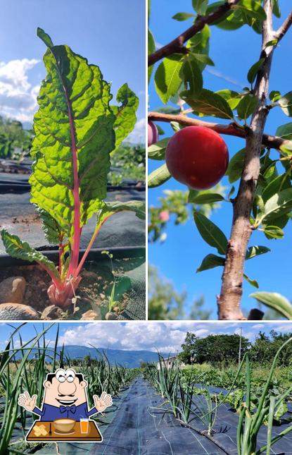 Cibo al Agriturismo Dai Colombari