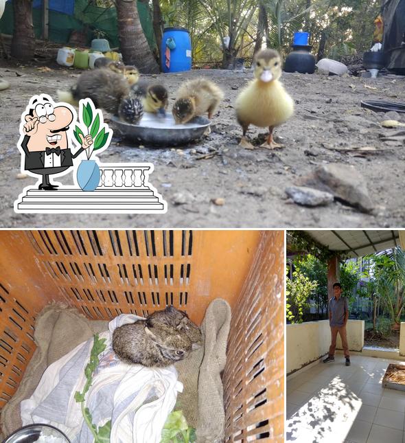 The picture of exterior and interior at RJ's Chinese Corner