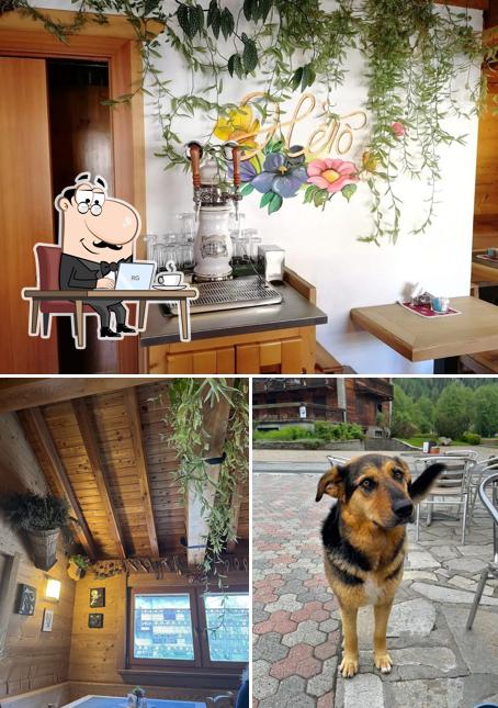 Gli interni di Barhéttõ