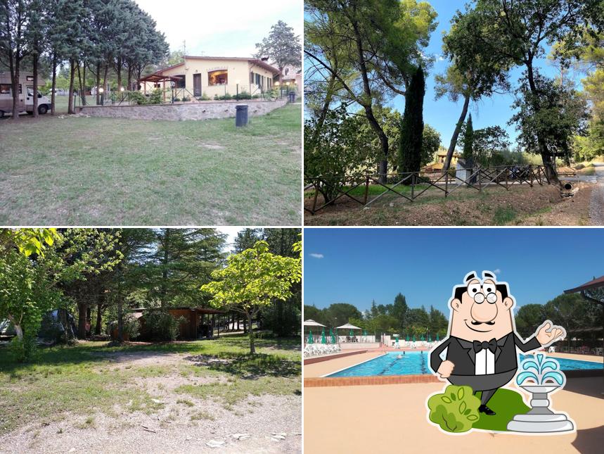 Curiosa tra gli esterni di Campeggio Pian di Boccio