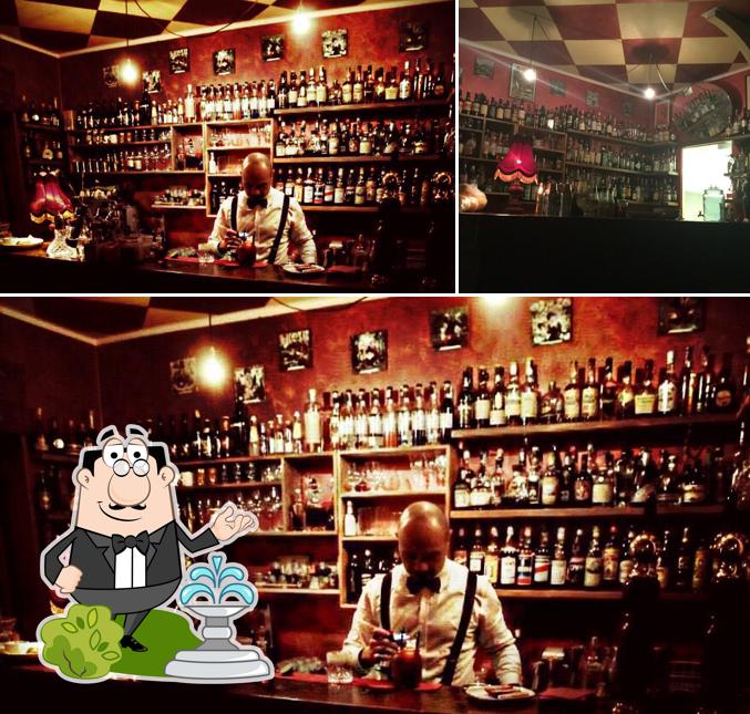 Guarda gli esterni di L'alchimista