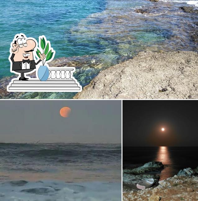 Gli esterni di White Rocks Beach Garden