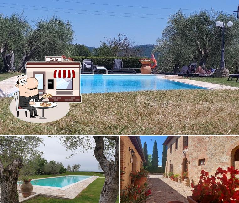 Guarda gli esterni di Agriturismo Podere Casato