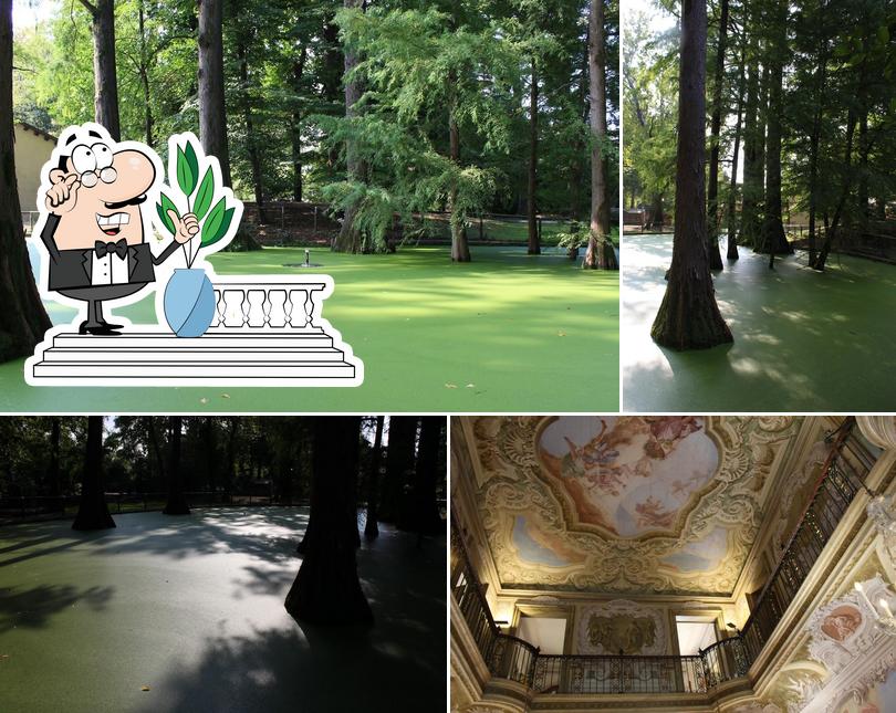 Villa Widmann - Ristorante Pizzeria Bar Caffetteria