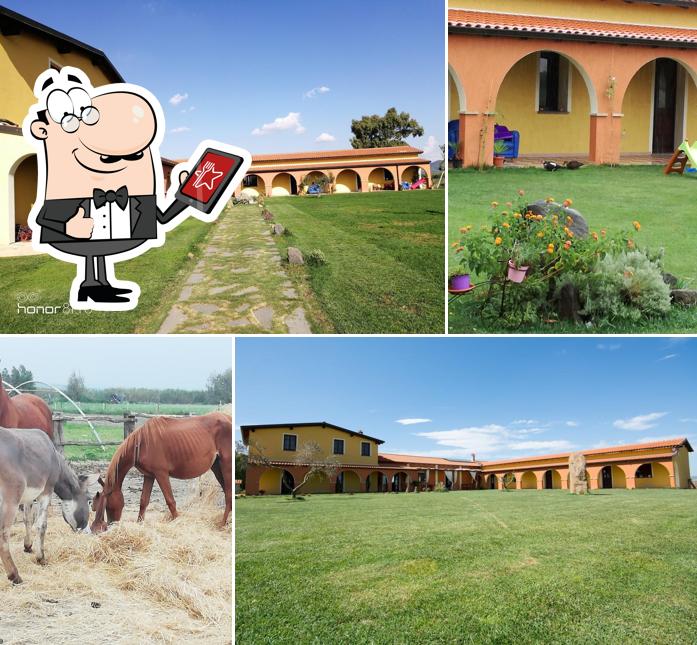 Agriturismo Surbiu