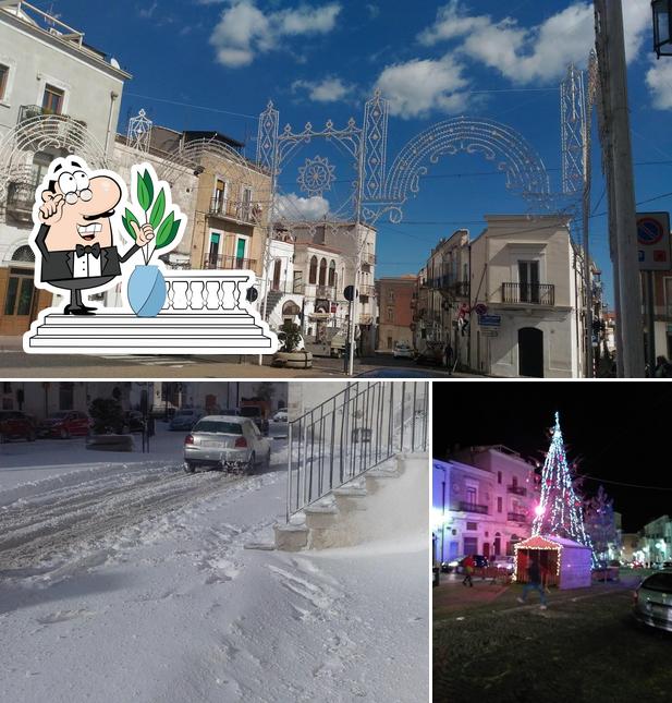 Bar Pasticceria e Gelateria di Bisceglia Giovanni e C .S.N.C.