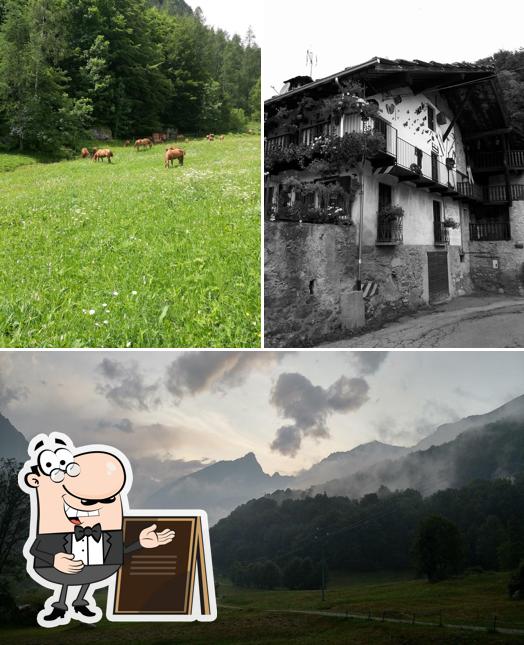 Guarda gli esterni di Le Contessine
