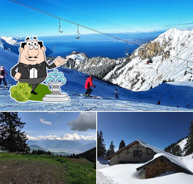 Curiosa tra l'area esterna di Temeley