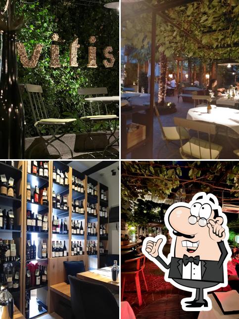 Gli interni di Vinothek Vitis Enoteca