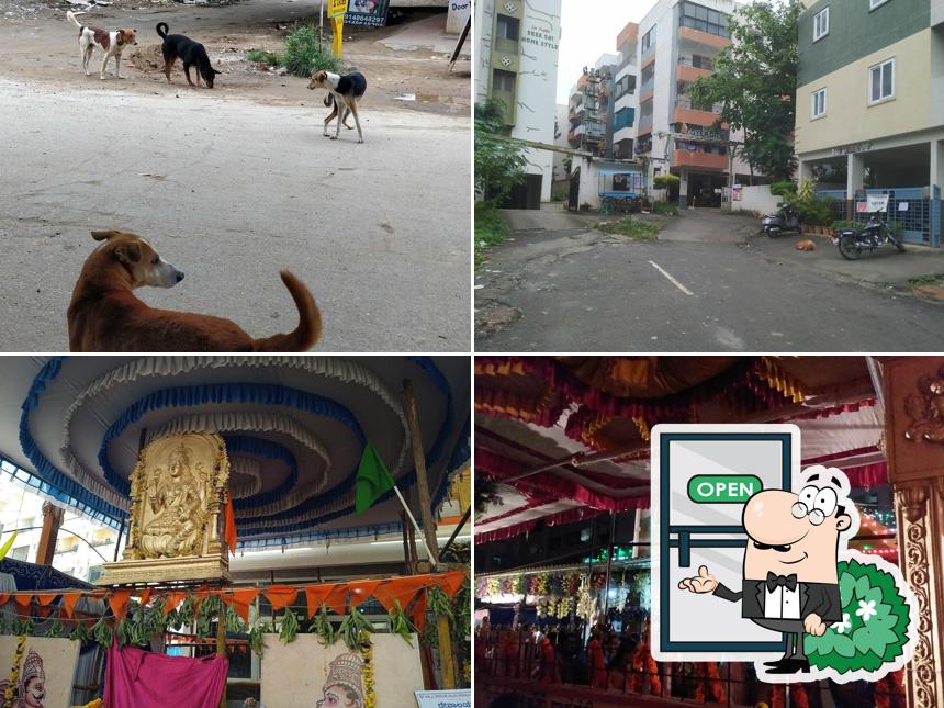 Check out how NÜTY - Green House Layout looks outside