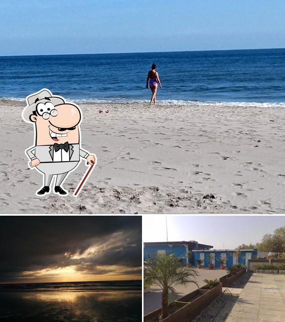 Guarda gli esterni di Bagno Nettuno
