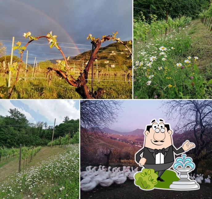 Agriturismo Mondragon