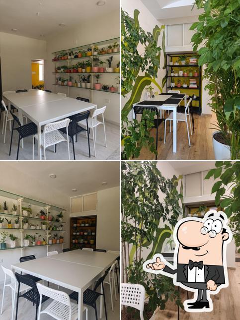 The interior of Crazy Plant Lady Café - Plant Store Bakery Events & Co-working Space