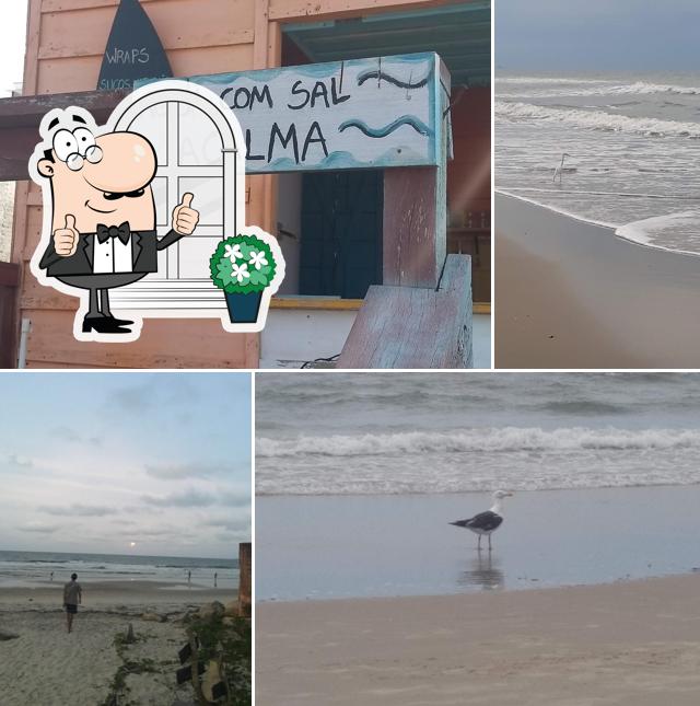 Canto Da Sereia