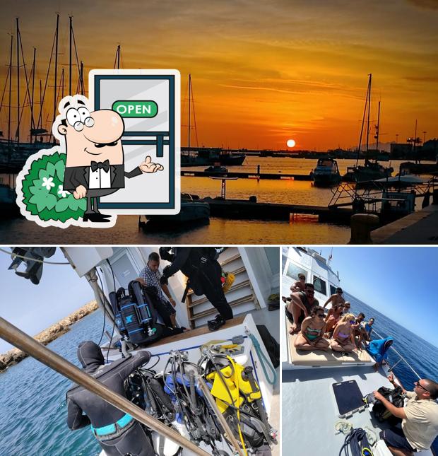 Gli esterni di Egadi diving