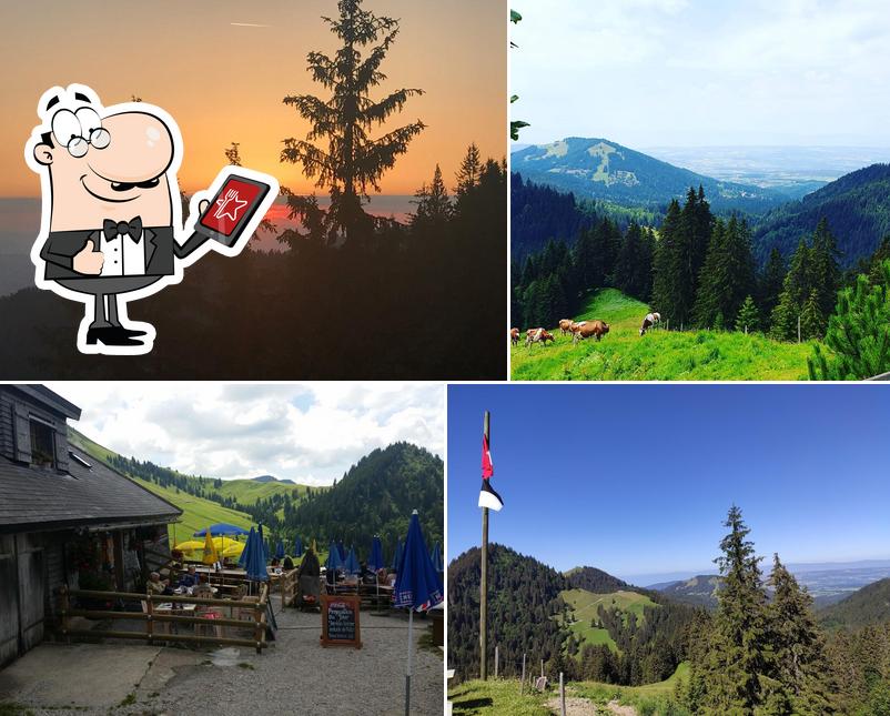 Buvette de Saletta - Famille Colliard