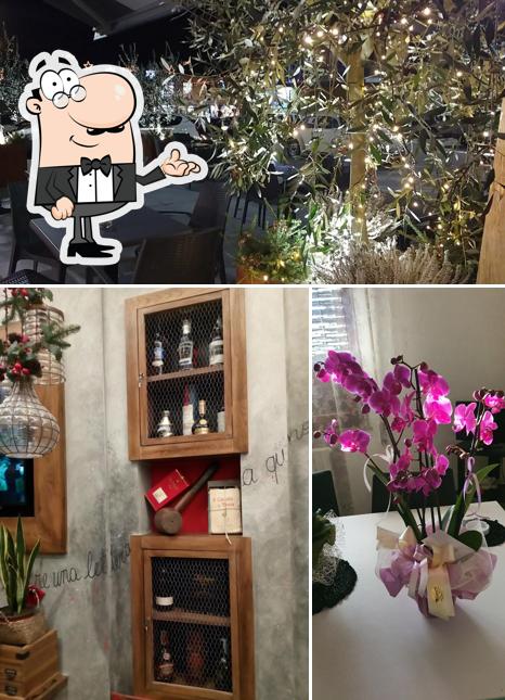 Dai un'occhiata agli interni di Alidoro