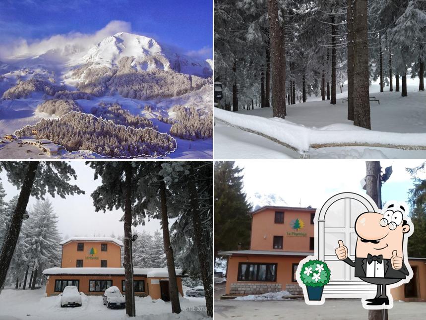 La Pinetina - Hotel & Risto-Bar