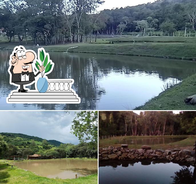 Restaurante,Pesqueiro e Piscicultura Estância Dos Vieiras