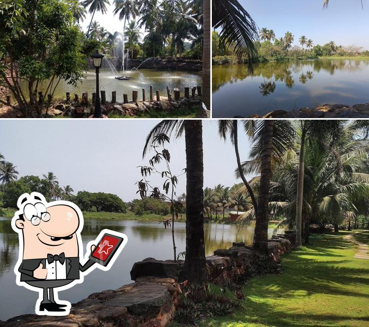 You can get some fresh air at the outside area of The Farmhouse Restaurant