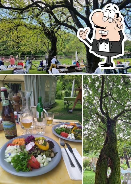 Dai un'occhiata agli interni di Agriturismo Ristoro ai Gelsi