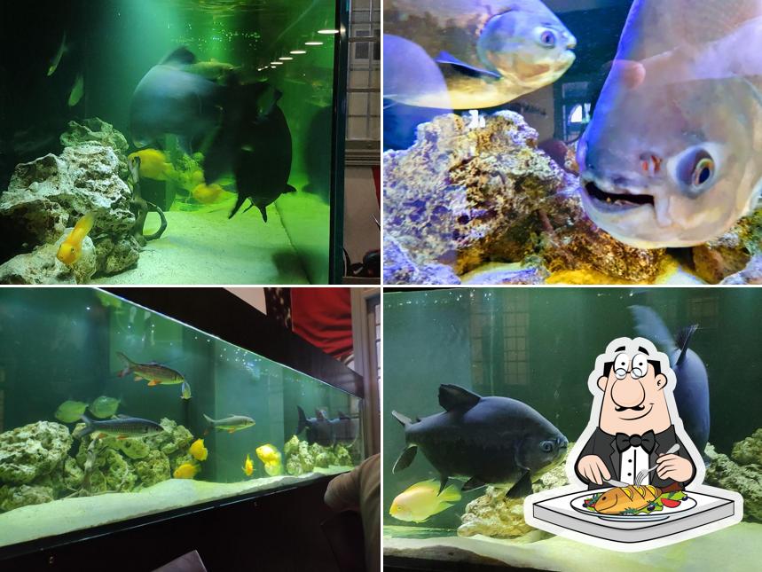 Luxol Restaurant